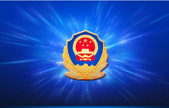上海公安机关精准打击犯罪守护群众平安