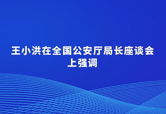 王小洪在全国公安厅局长座谈会上强调  提升公安机关新质战斗力  高水平推进公安工作现代化